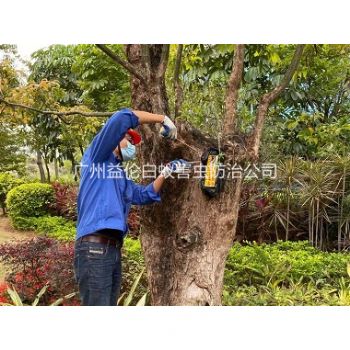 沙埔街道綠化（huà）白蟻防治