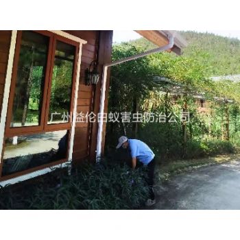 派潭農莊消滅老鼠蟲害