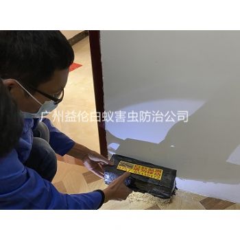 荔城大道小區殺白蟻