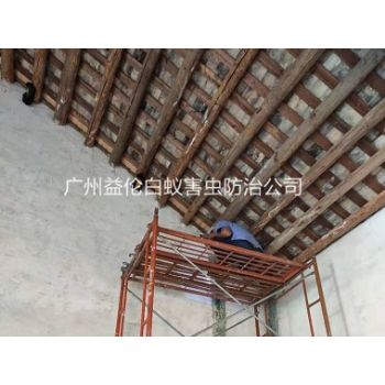 仙村房屋白蟻防治（zhì）工程