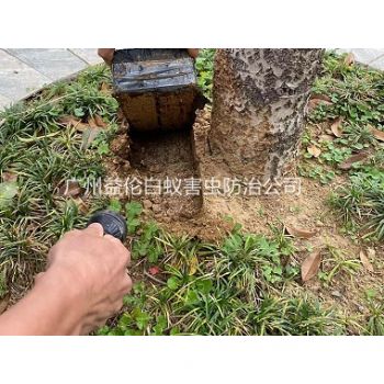 石灘第一城防治白蟻