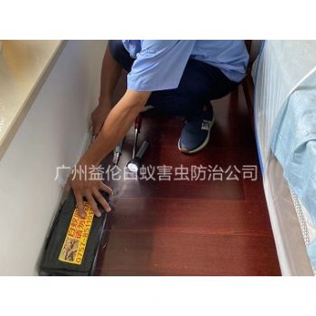 西寧路小區治（zhì）白蟻