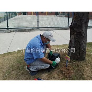 永和（hé）中學防（fáng）治（zhì）紅火蟻