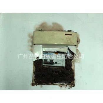 正果滅殺電箱白蟻