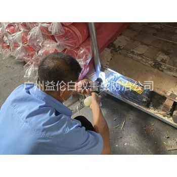 小樓鎮倉庫白蟻防治