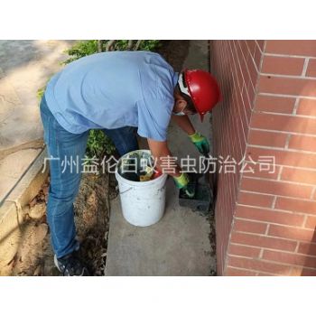 三（sān）江鎮企業外圍滅（miè）鼠