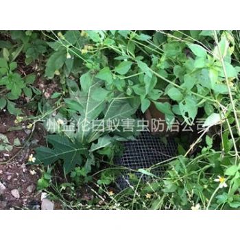 福和上門驅（qū）蛇防蛇