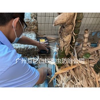 中（zhōng）新鎮白蟻危害（hài）防治工程