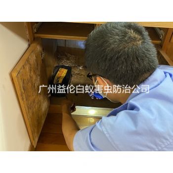 新塘亨（hēng）德琴苑滅治（zhì）白蟻危害
