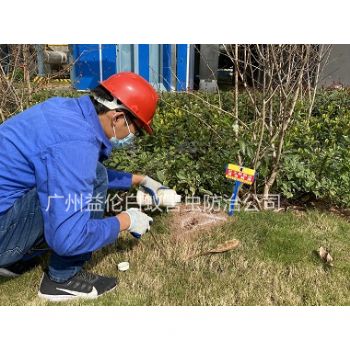 荔城園（yuán）區紅（hóng）火蟻防治工程