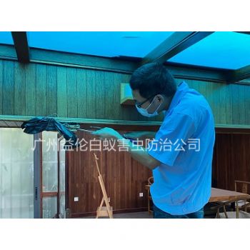 派潭上門治白蟻危害