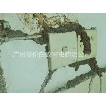 福（fú）和上雲防治白蟻危害