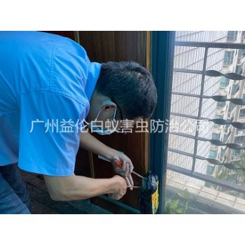 新塘（táng）廣場小區白蟻滅殺