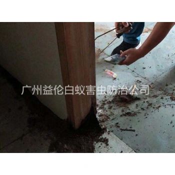 寧西興（xìng）景街房屋除白蟻