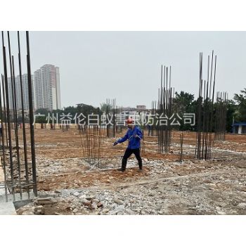 朱村新建（jiàn）工程預防白蟻（yǐ）