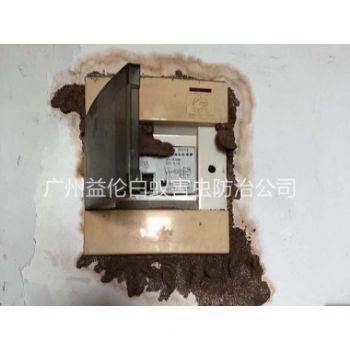 石灘防治電（diàn）箱白蟻（yǐ）蟻害