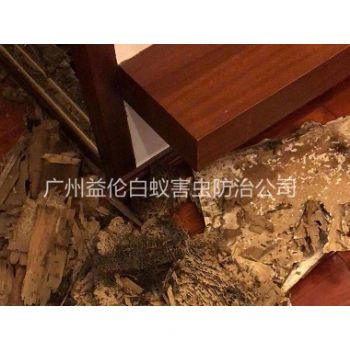 小樓村房屋除（chú）白蟻工程