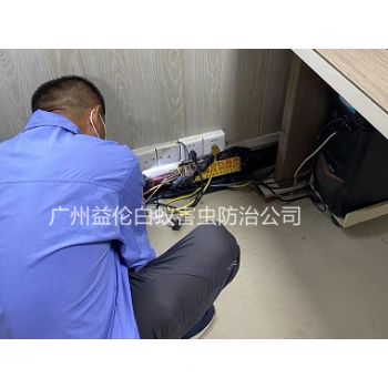 仙村电信（xìn）大楼治（zhì）白蚁