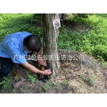 中新（xīn）園林綠化滅（miè）治白蟻