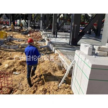 沙埔新建房屋白蟻預防