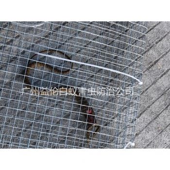 鎮（zhèn）龍上門抓蛇、捕蛇