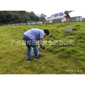 新（xīn）塘堤壩有害蟻類防控