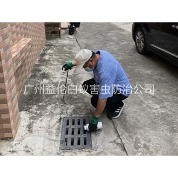 朱村蚊蠅孳生地消殺