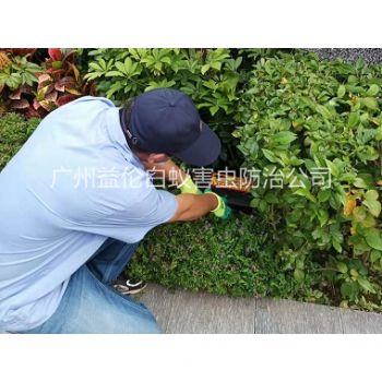 石灘綠化帶（dài）施藥滅鼠
