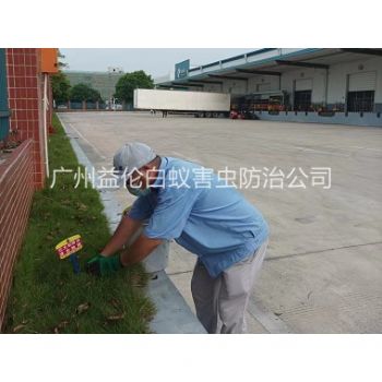 派潭企（qǐ）業殺除紅火蟻