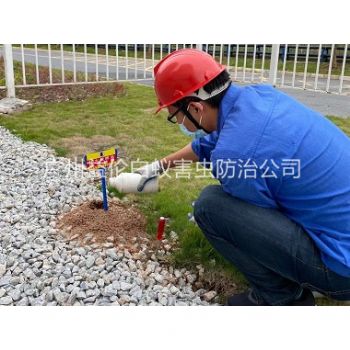福和（hé）園區治紅（hóng）火蟻