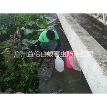鎮龍（lóng）蟲控站進行捕蛇