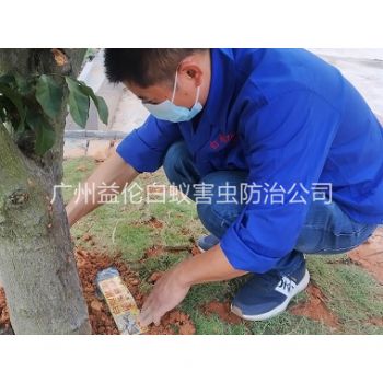 增城安裝白蟻誘（yòu）殺箱