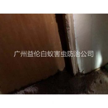 沙（shā）埔倉庫蟻害防治