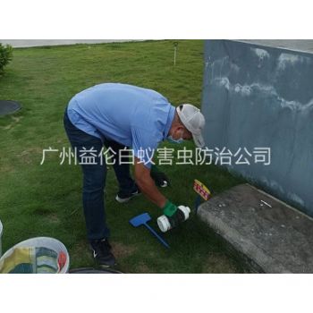 寧西紅火蟻消殺案例