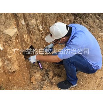 仙村水庫堤壩滅白蟻
