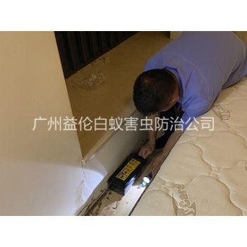 鎮龍家居白螞蟻滅治