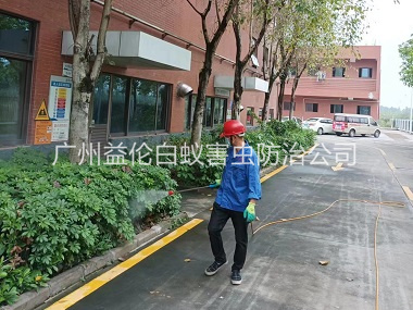 鎮龍環境蚊蠅防控工程