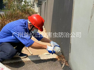 仙村紅火蟻防治工程