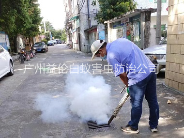 增（zēng）城登革熱消殺工程