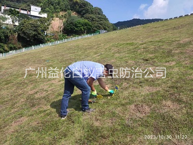 沙埔水利白蟻防治工程（chéng）