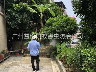 中新社區除四害工程