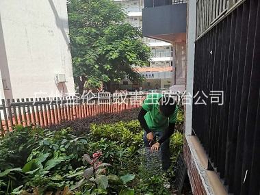 寧西抓蛇捕蛇工（gōng）程