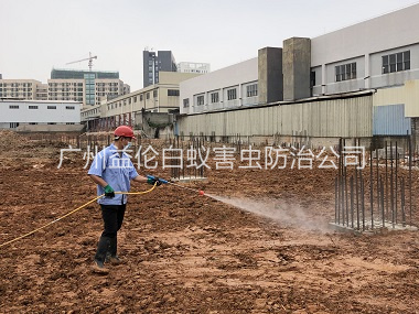石灘新建（jiàn）白蟻預防工程（chéng）