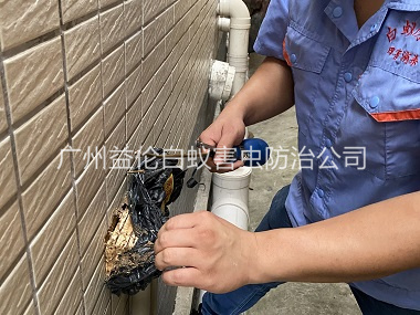 朱（zhū）村建築滅治白蟻工程（chéng）