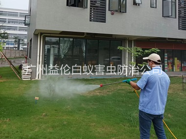 荔城蚊蟲害消殺工程