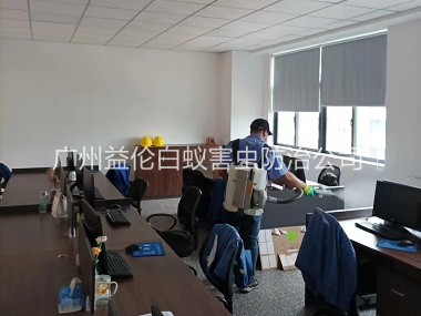 仙村室內消殺蚊（wén）蟲工程