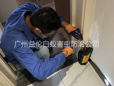 寧西住宅白蟻防治工程