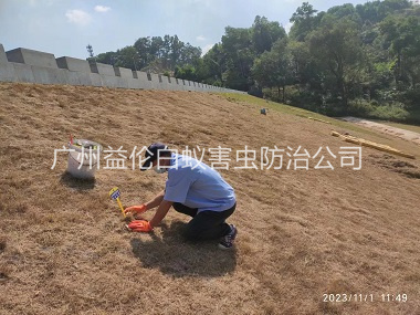 永（yǒng）和（hé）堤壩白蟻滅治工程