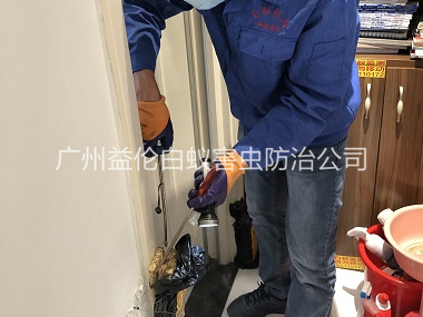 新塘上門防治白蟻工程