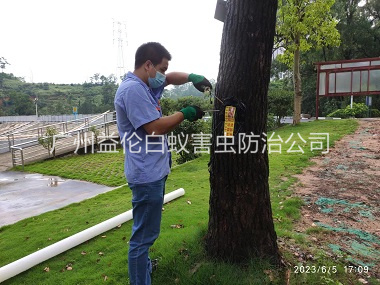 三江園（yuán）林綠化滅治白蟻